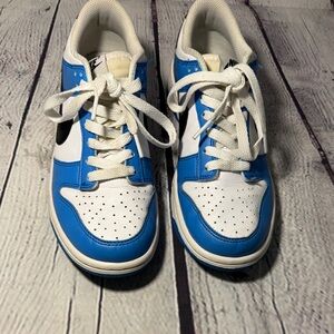 Blue Kids Nike Dunk Sneakers